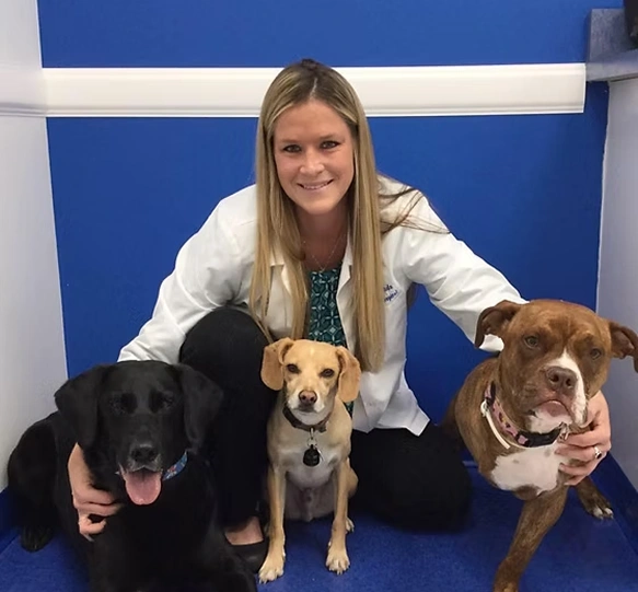 Dr. Andrea Deoudes