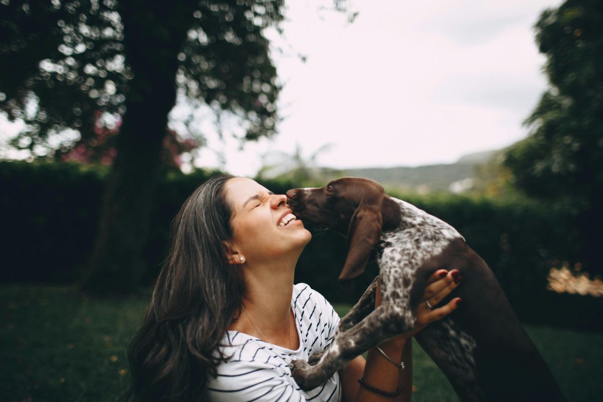Dog Licking Excessively 12 Reasons & When to See a Vet