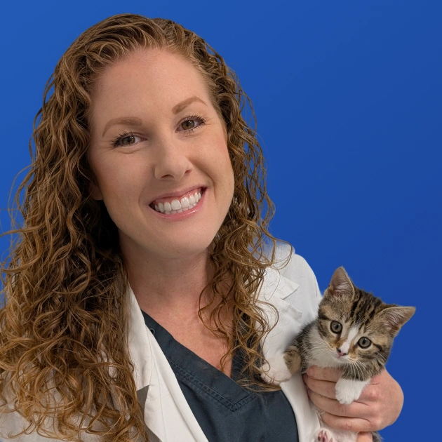 Dr. Lauren Maxey