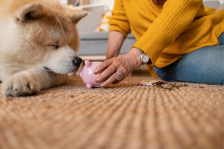 SENIOR PET CARE